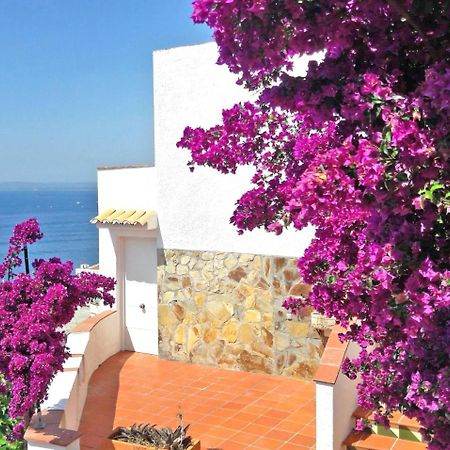 Splendido Studio, Vista Mare, A 5Mn Dalla Spiaggia - Casa Artevida Rosas Exterior foto