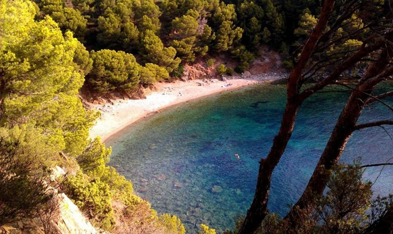Splendido Studio, Vista Mare, A 5Mn Dalla Spiaggia - Casa Artevida Rosas Exterior foto