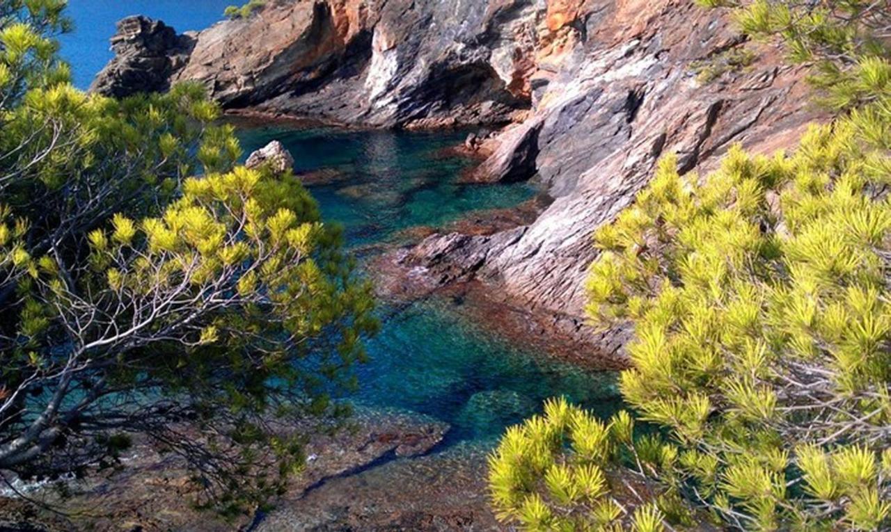 Splendido Studio, Vista Mare, A 5Mn Dalla Spiaggia - Casa Artevida Rosas Exterior foto